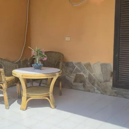 Agavi 61
